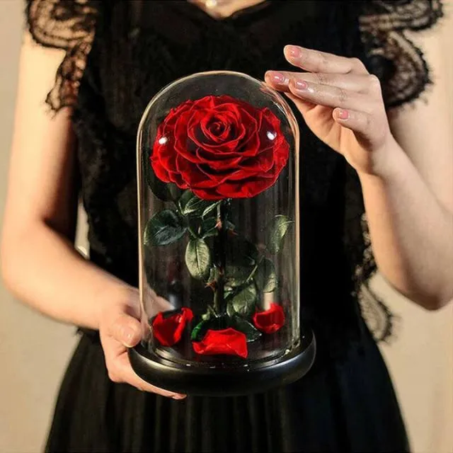 Evighetsrosor