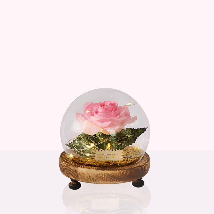 Evighetsros Rosa