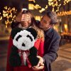 Rosbjörn - Panda